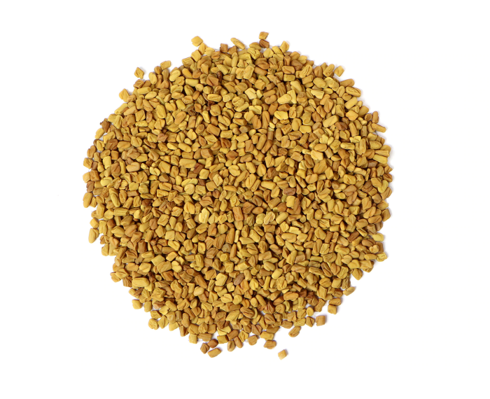 FENUGREEK SEEDS